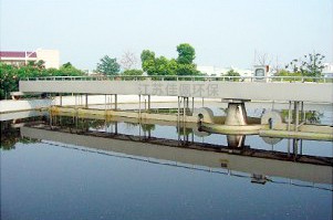 ��߅���������C